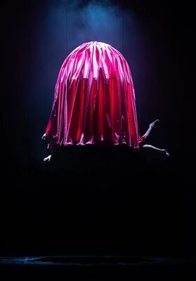 Scène uit Flamingo: een grote koepel van glanzende roze stof hangt boven het donkere podium. Onder de rand steken de benen en een arm van een speler uit.